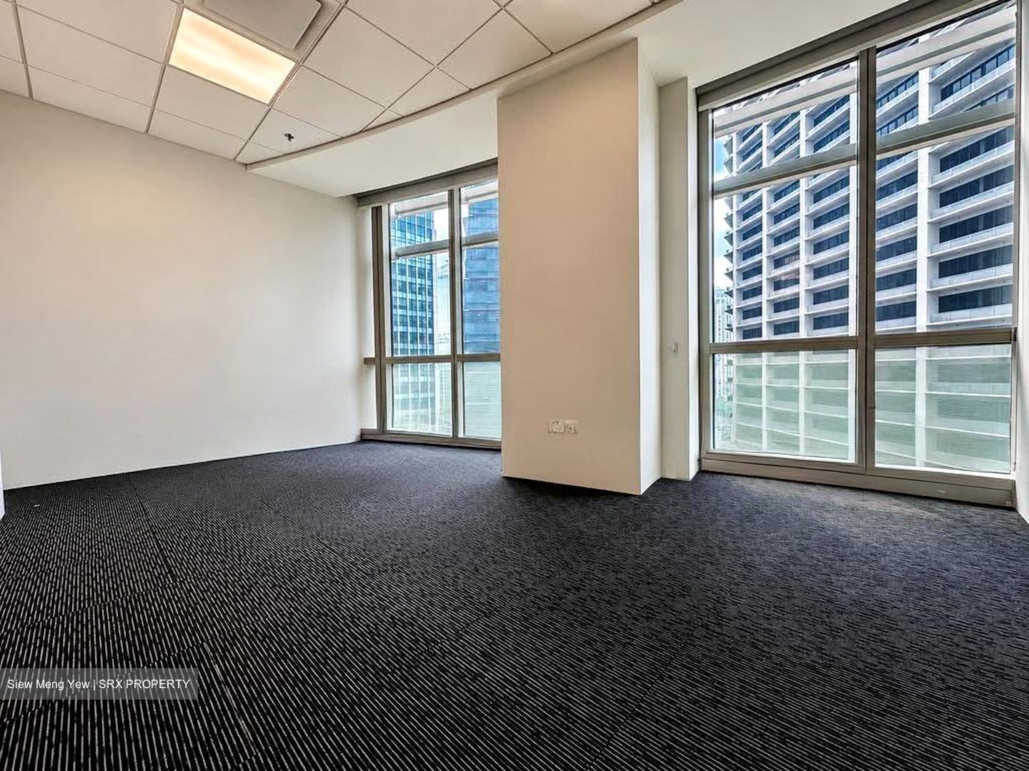 Springleaf Tower (D2), Office #627360561